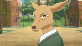 Louis (Beastars)